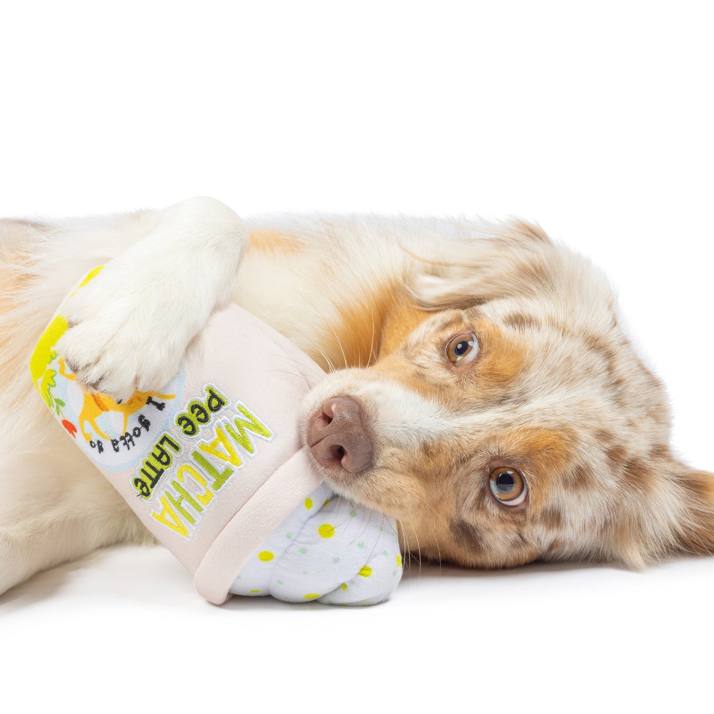 Matcha Pee Latte Dog Toy (Double Sided) - 30% Off