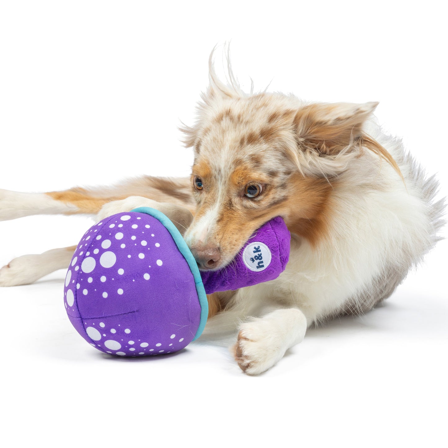 Fetchies® Mellow Mushroom Dog Toy