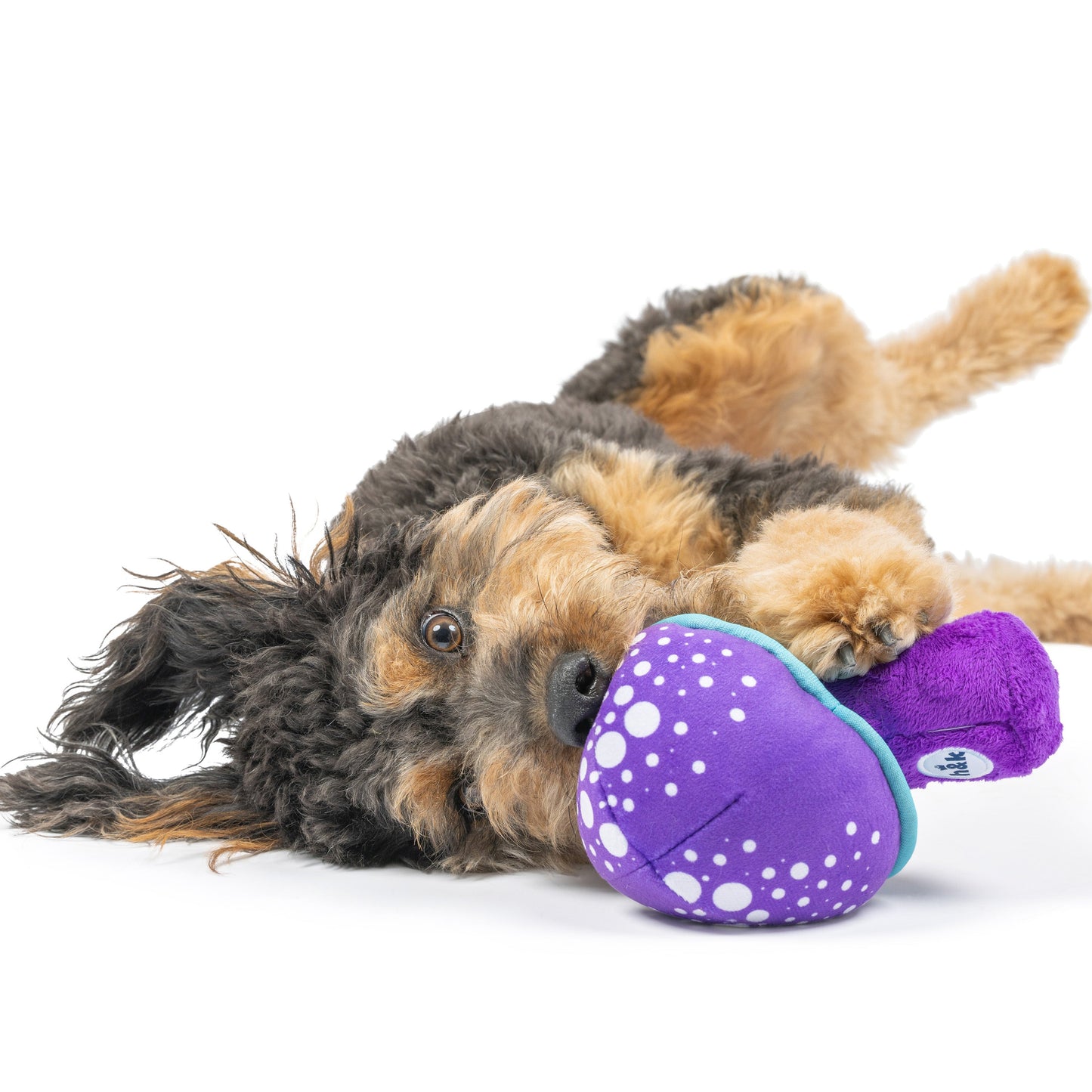 Fetchies® Mellow Mushroom Dog Toy