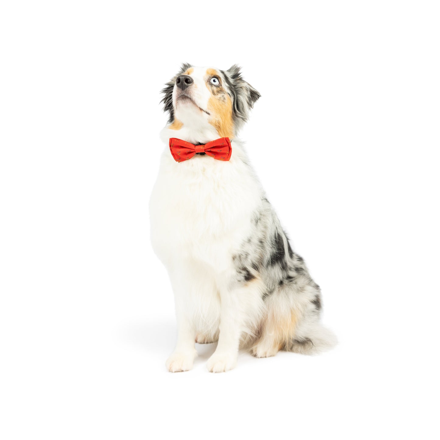 Moose Bow Tie - 30% Off