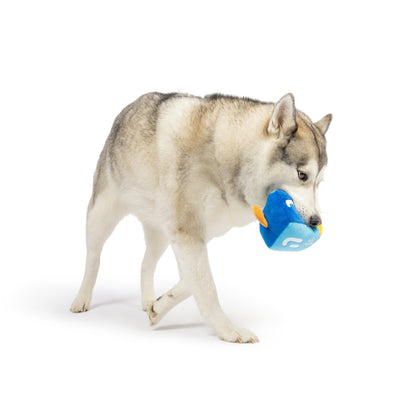 Mutt-Zel Tov Dreidel Dog Toy (Double Sided)