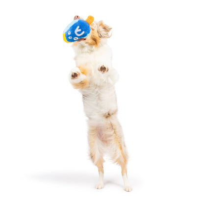 Mutt-Zel Tov Dreidel Dog Toy (Double Sided)