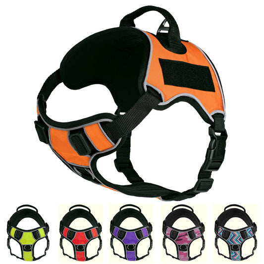 Dogline Quest Multi-Purpose Dog Harness