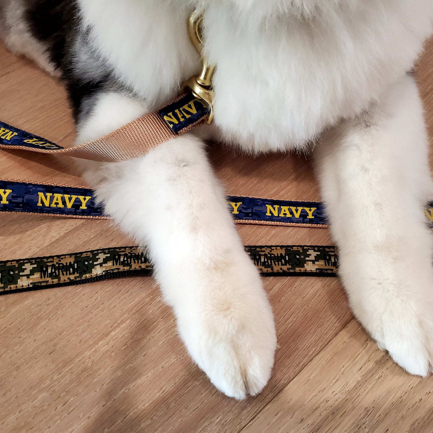 Navy Dog Lead