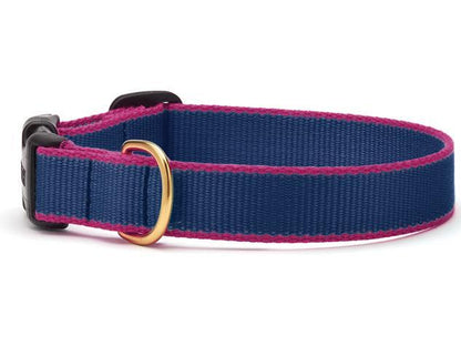 Color Market Dog Collar - Wide