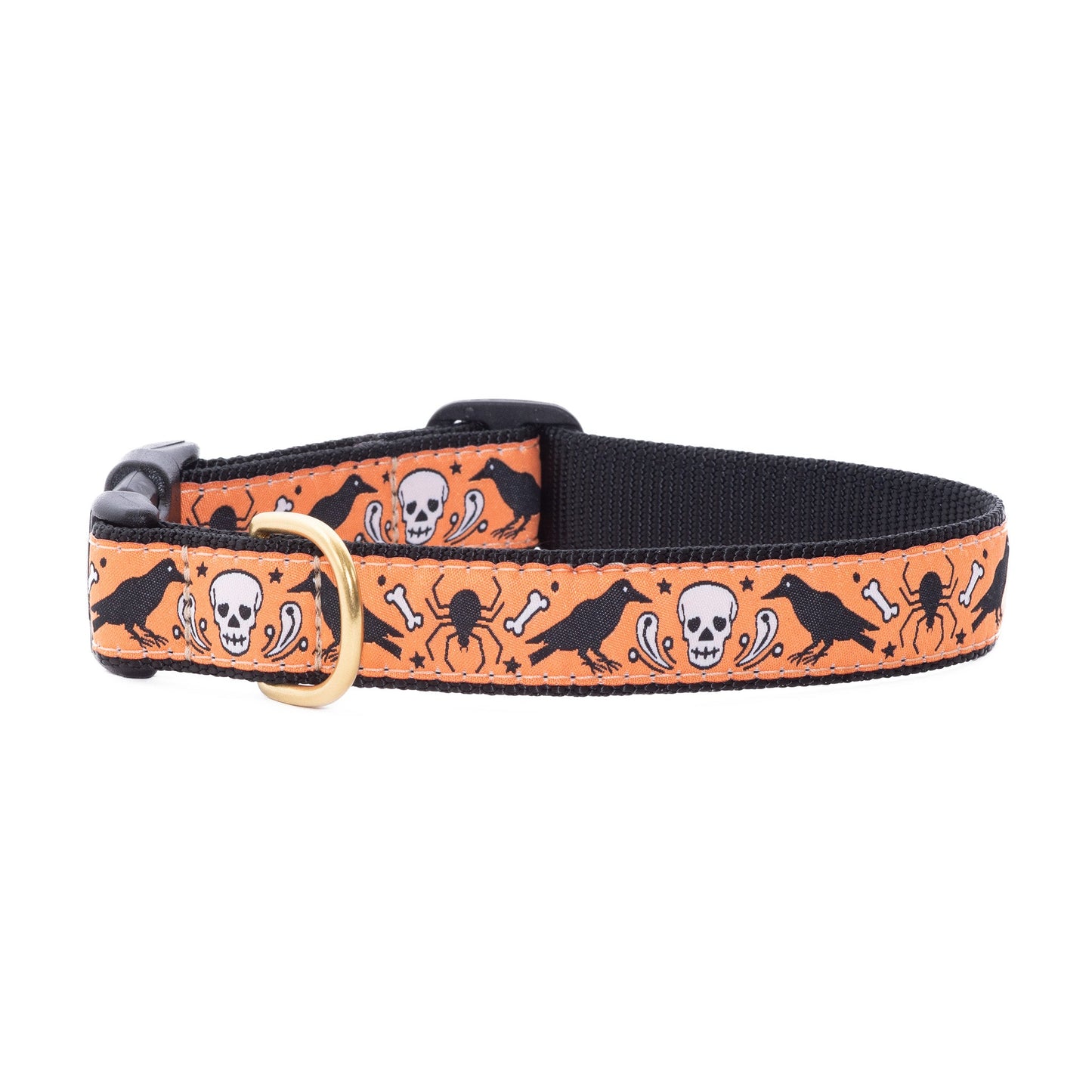 Nevermore  Dog Collar