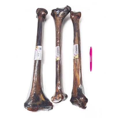 Ostrich Long Bone (Bulk)- Pack of 5