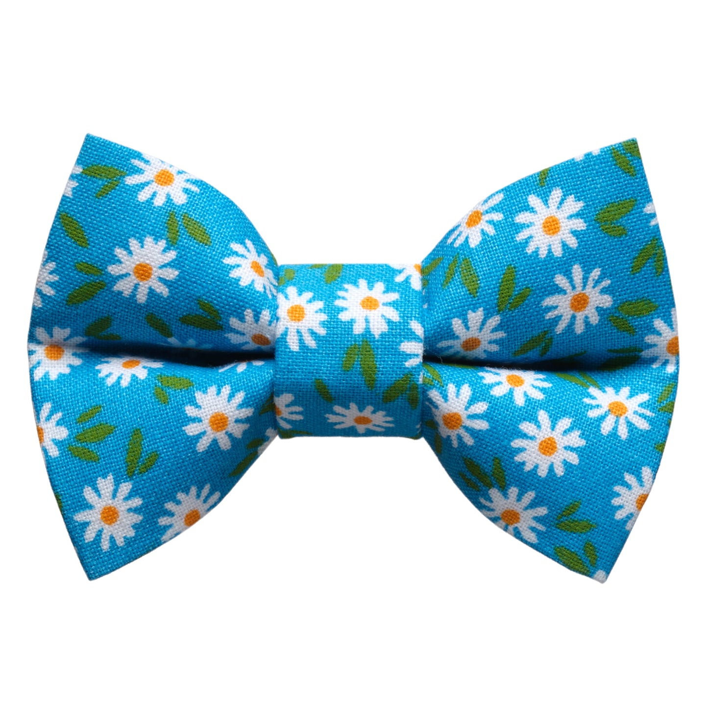 The Ok, Bloomer - Bow Tie