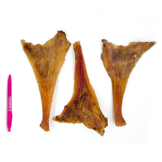 Ostrich Long Tendons - 4 oz- EACH