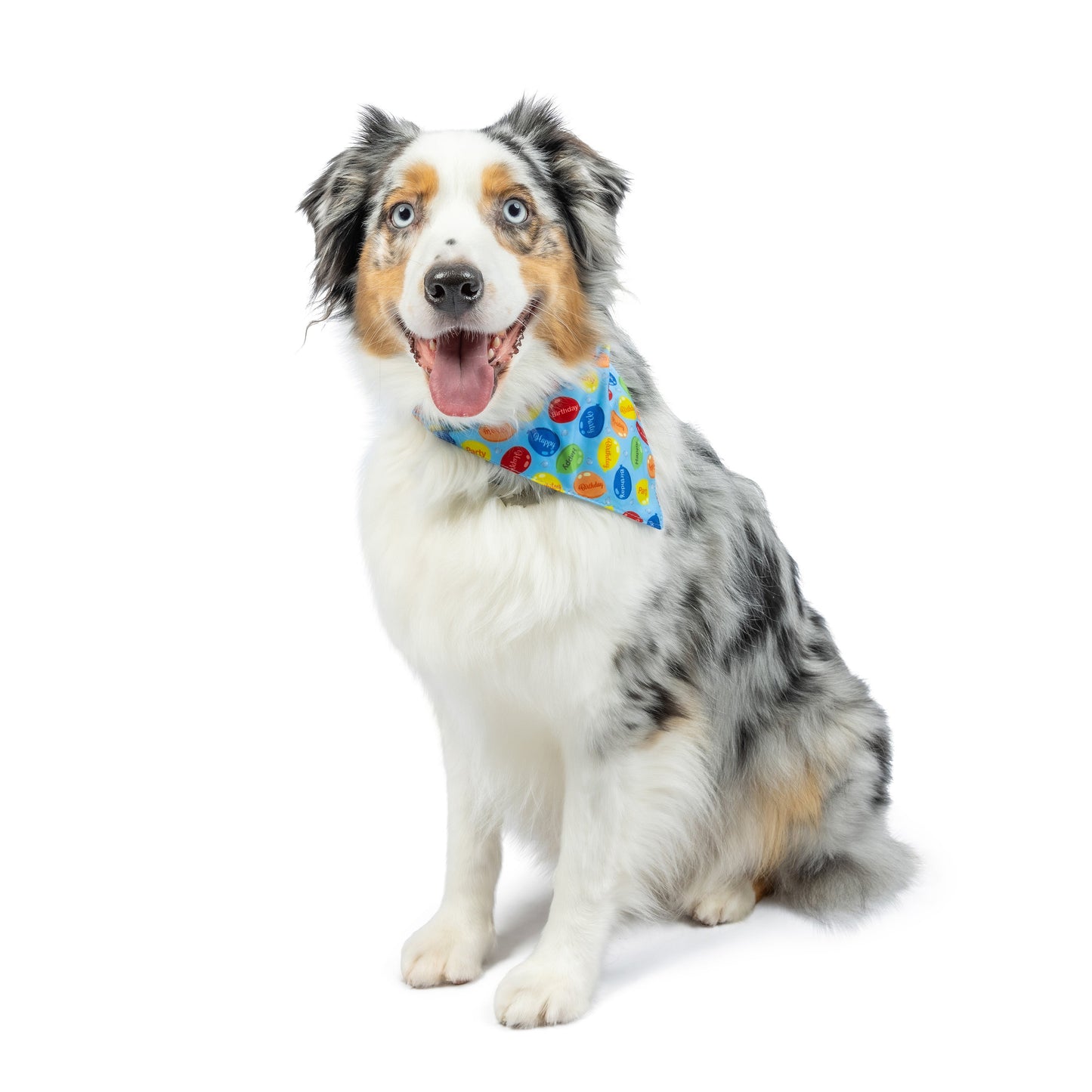 Party Time Bandana 2.0