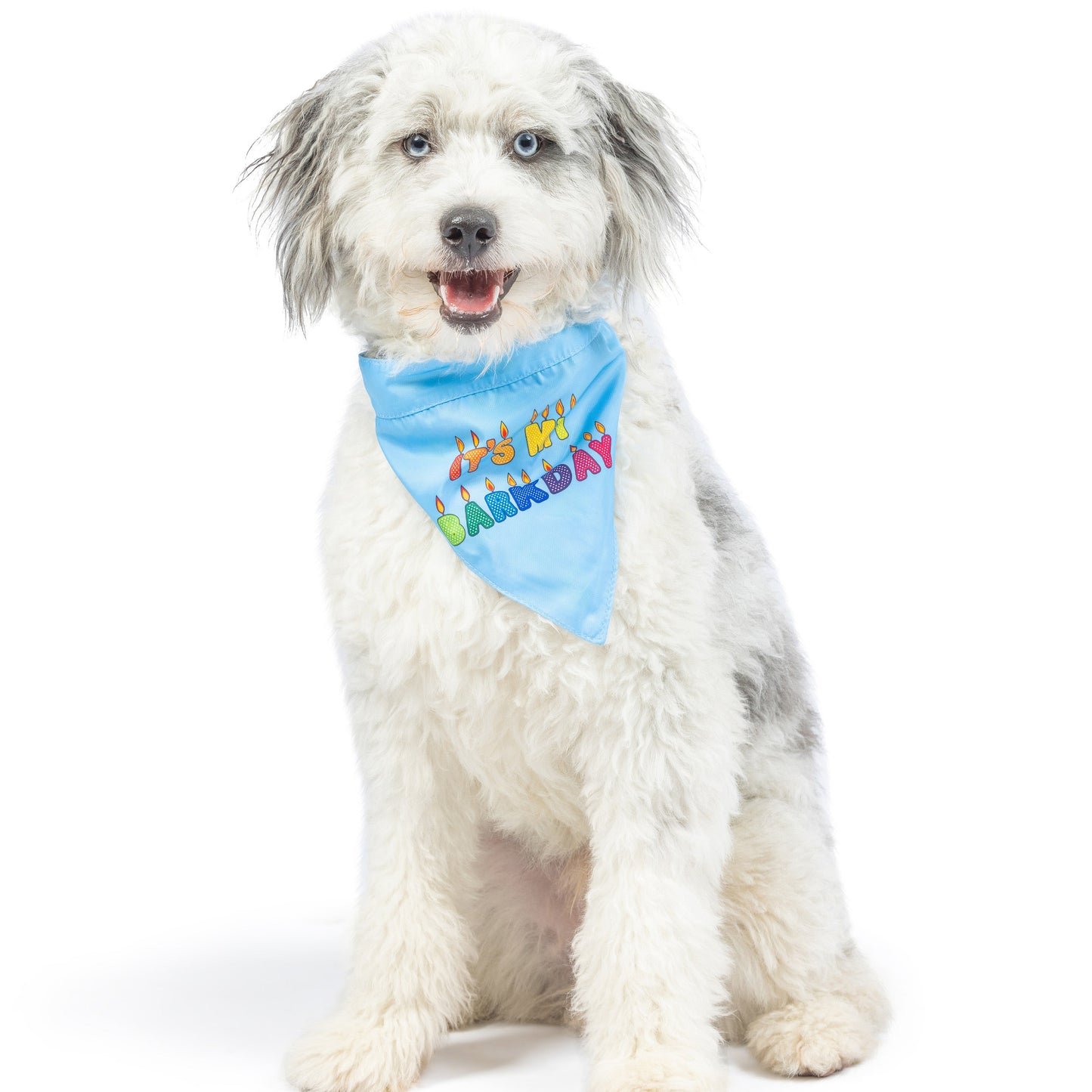 Party Time Bandana 2.0