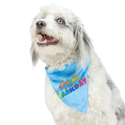 Party Time Bandana 2.0