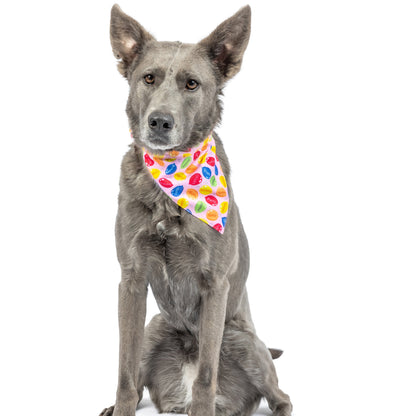 Party Time Bandana 2.0