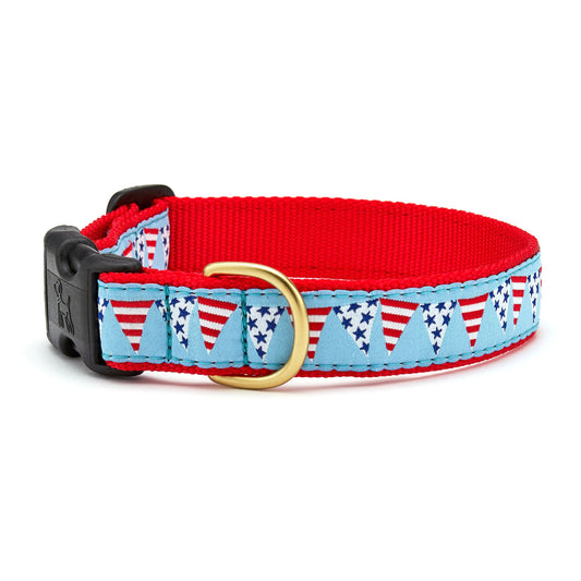 Party in the USA Dog Collar