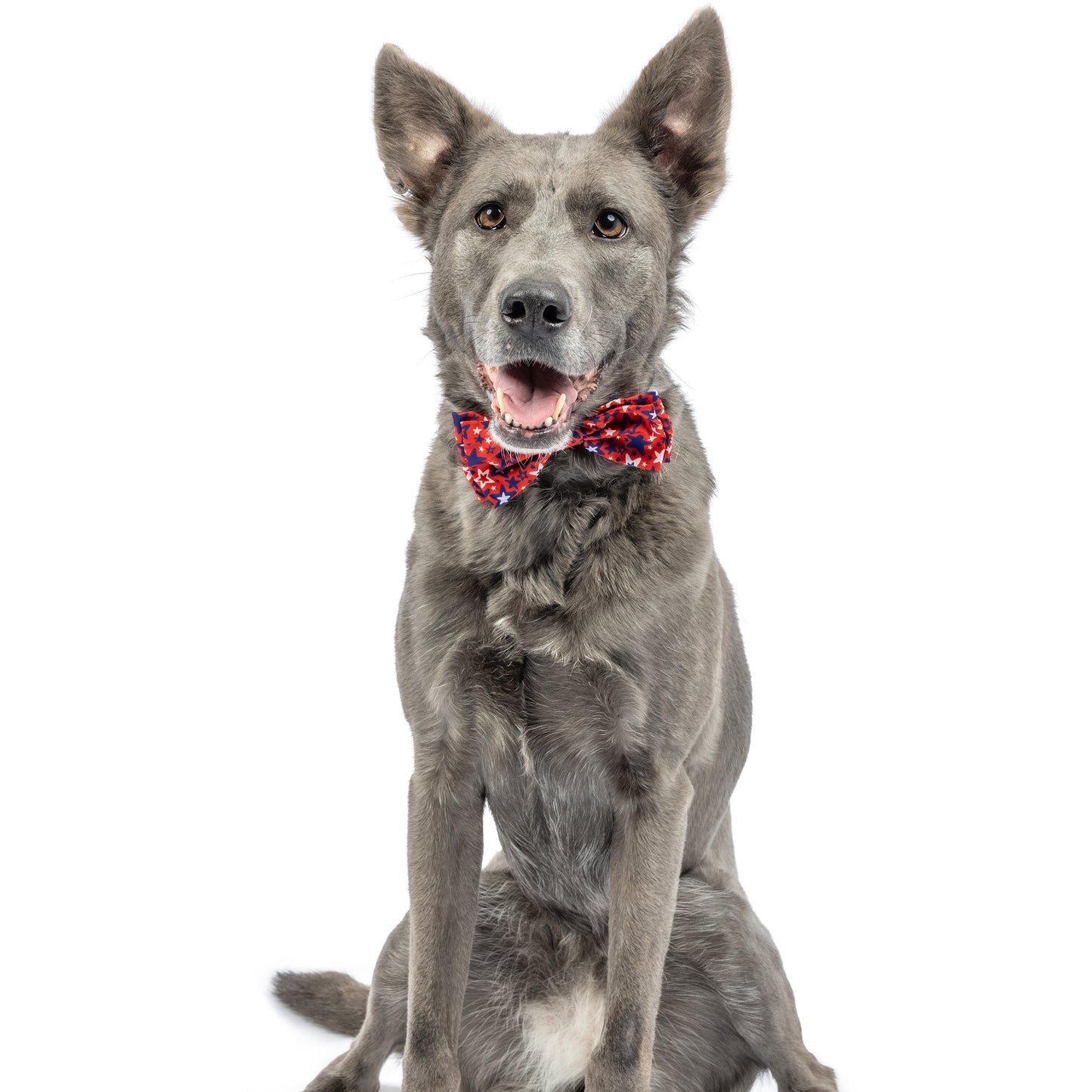 Patriot Stars Bow Tie