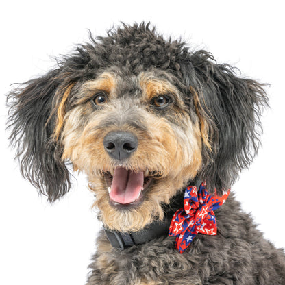 Patriot Stars Pinwheel - 30% Off