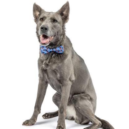 Patriots For Peace Bow Tie