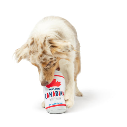Pawlson Dog Toy
