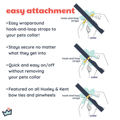 King & Queen of Hearts Pinwheel