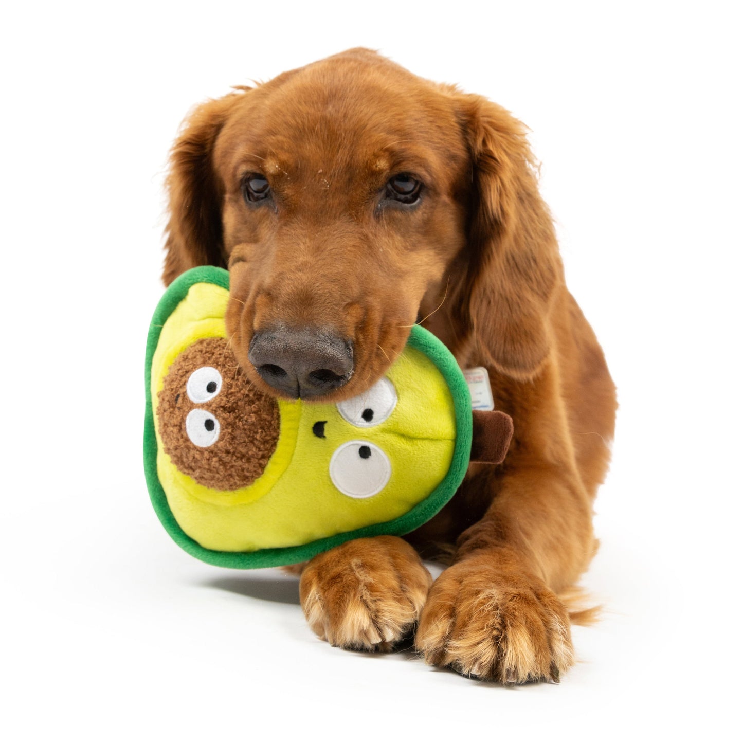 Pop 'n Fetch Avocado Dog Toy