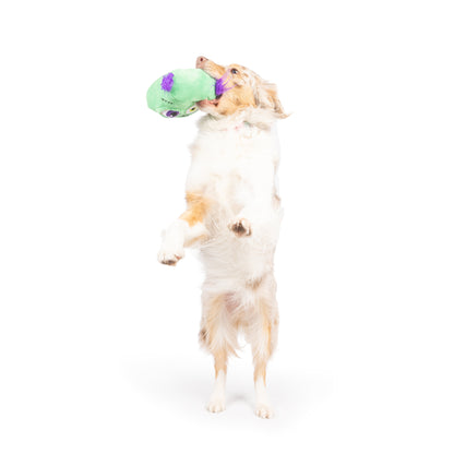 Zombie Pop 'n Fetch Pop-Eye Dog Toy