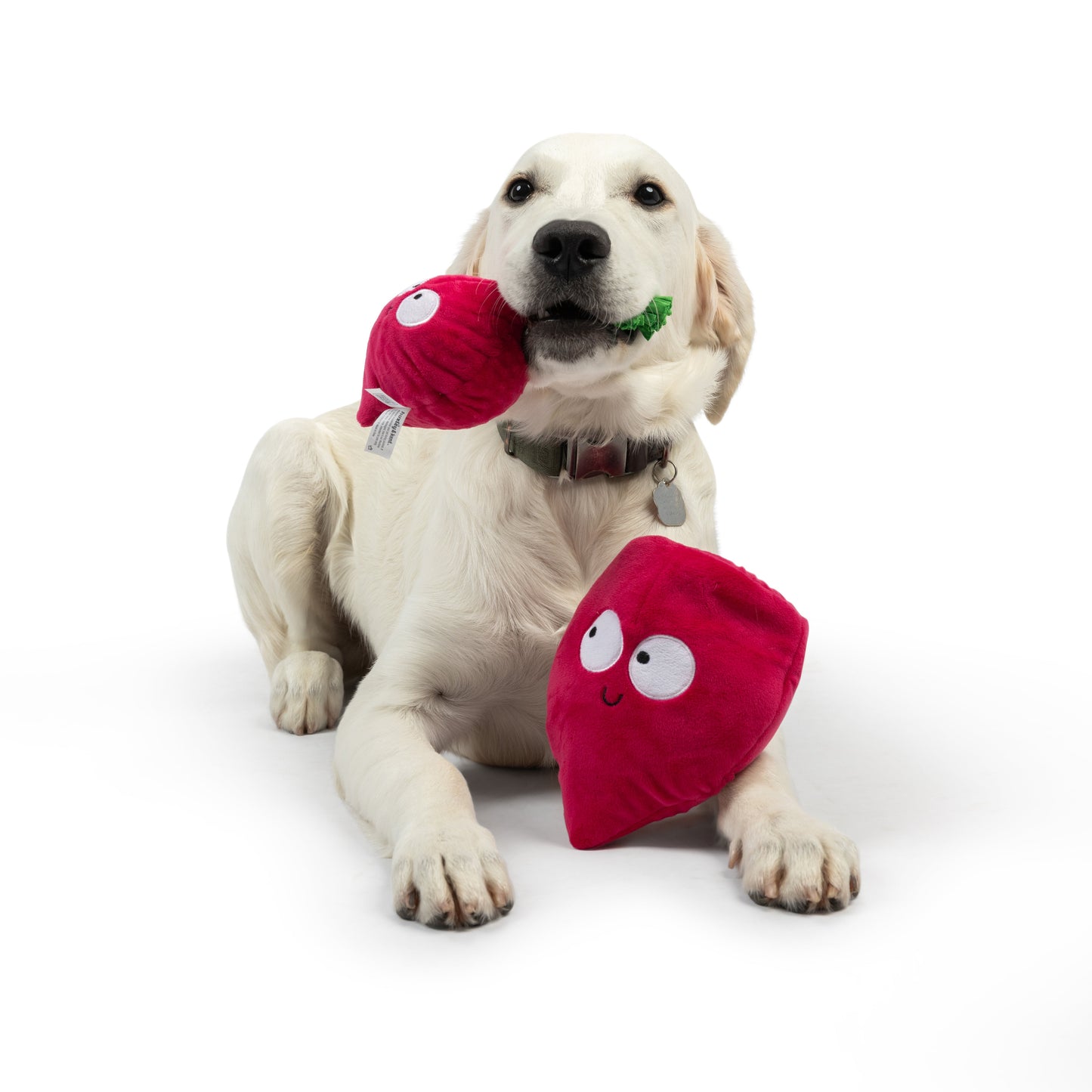 Pop 'n Fetch Beet Dog Toy