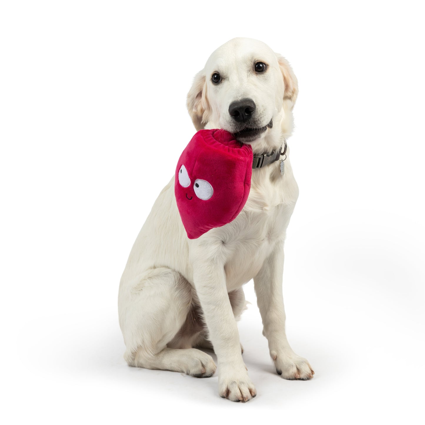 Pop 'n Fetch Beet Dog Toy