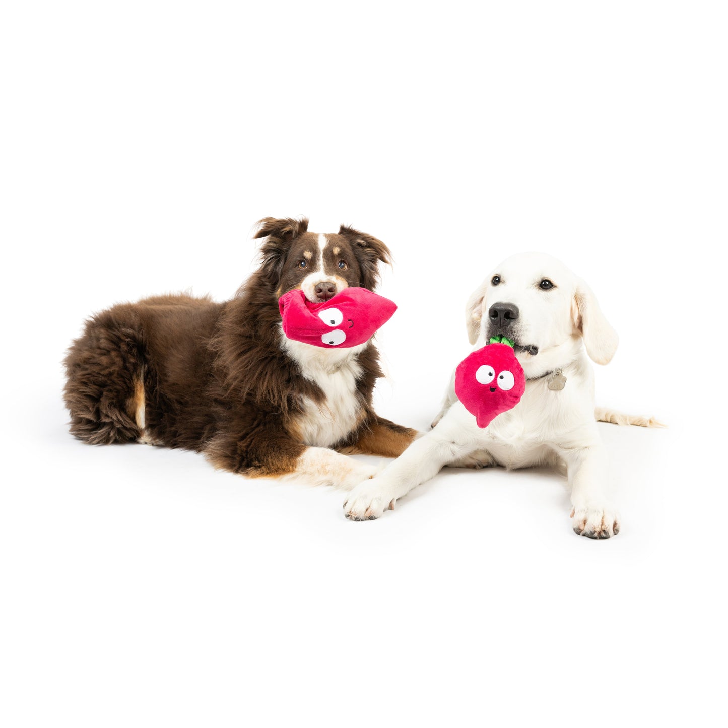Pop 'n Fetch Beet Dog Toy