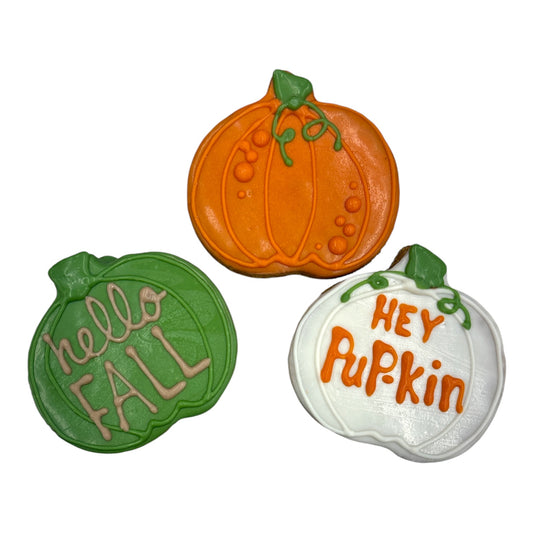 Fall Seasonal- Pumpkins- Tray of 9