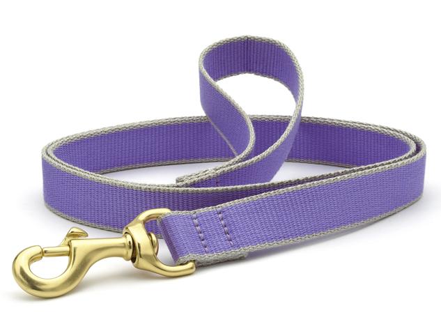 Color Market Dog Lead