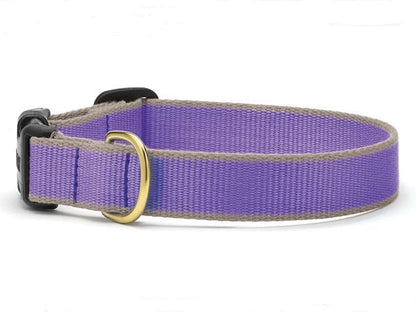 Color Market Dog Collar - Narrow