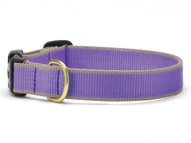 Color Market Dog Collar - Wide