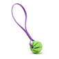 Rubber Spiral Ball Dog Toy with Biothane Handle