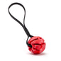 Rubber Spiral Ball Dog Toy with Biothane Handle
