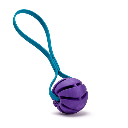 Rubber Spiral Ball Dog Toy with Biothane Handle
