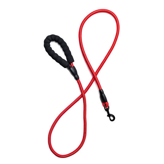 4' Rope Leash