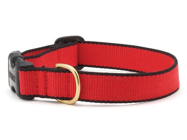Color Market Dog Collar - Wide