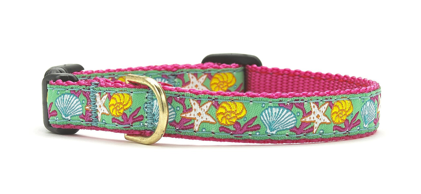Reef Small Breed Dog Collar