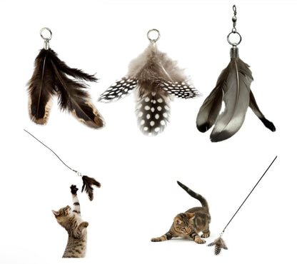 Feather Toy Attachment- 3 Pack
