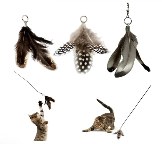 Feather Toy Attachment- 3 Pack
