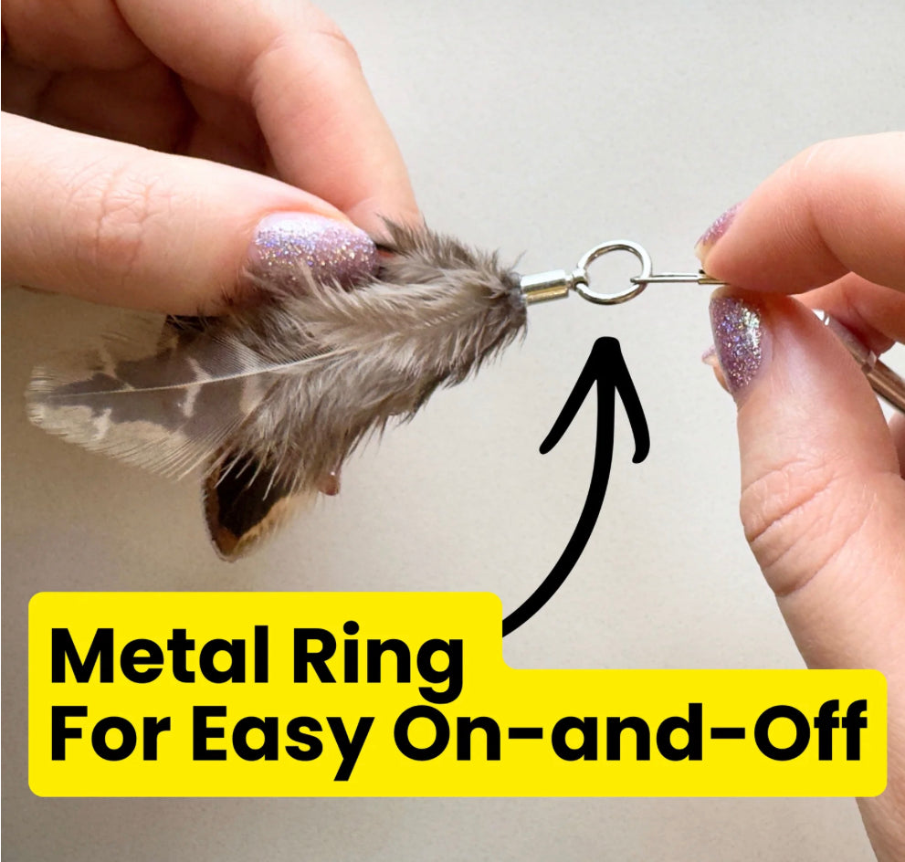 Feather Toy Attachment- 3 Pack