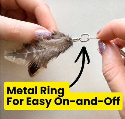 Feather Toy Attachment- 3 Pack