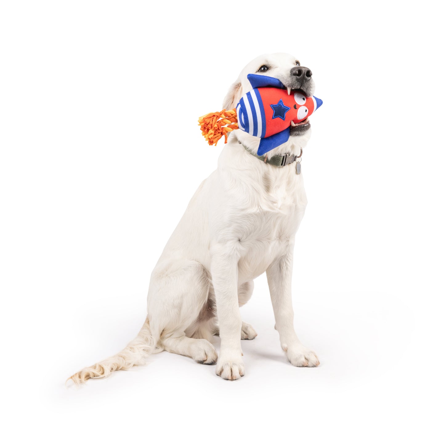 Rocket Man Dog Toy