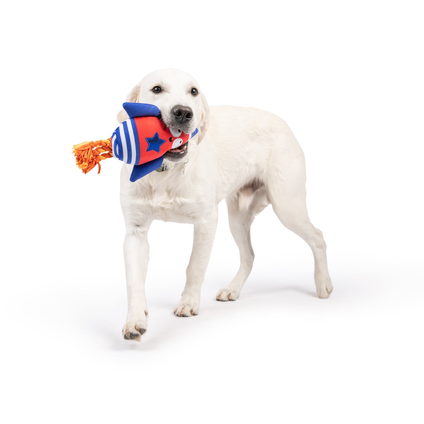 Rocket Man Dog Toy