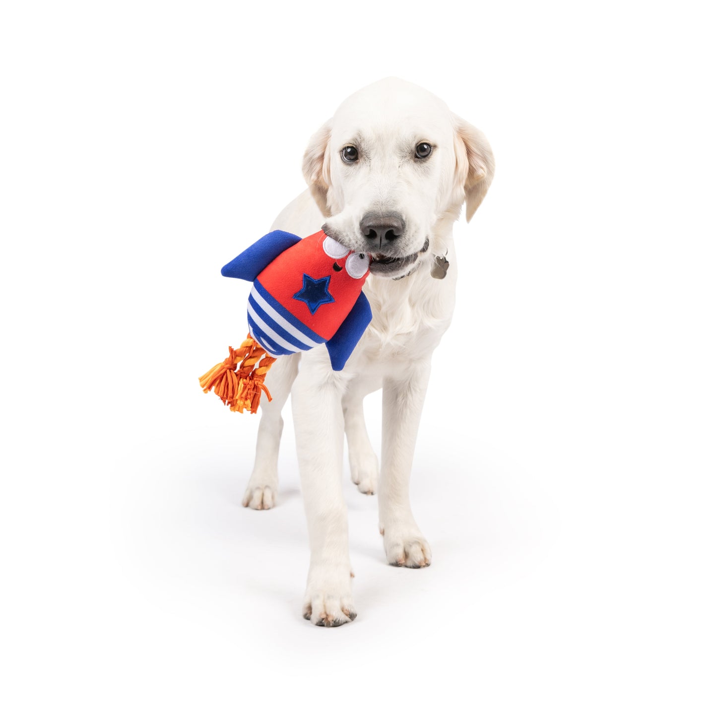 Rocket Man Dog Toy