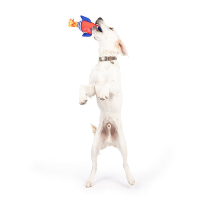 Rocket Man Dog Toy