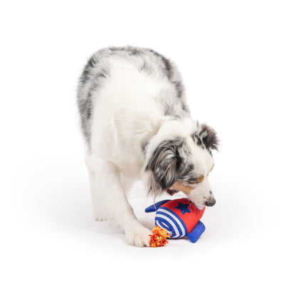 Rocket Man Dog Toy