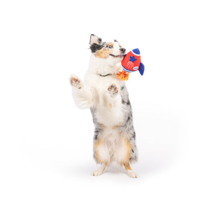 Rocket Man Dog Toy
