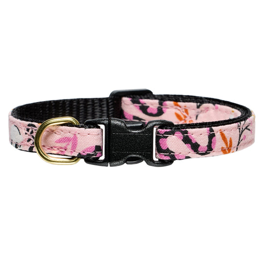 The If You Dare Collar