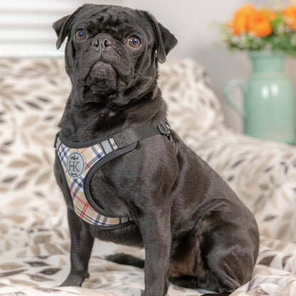 Printed Scout Harness High Street Plaid